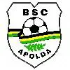 BSC Apolda (N)